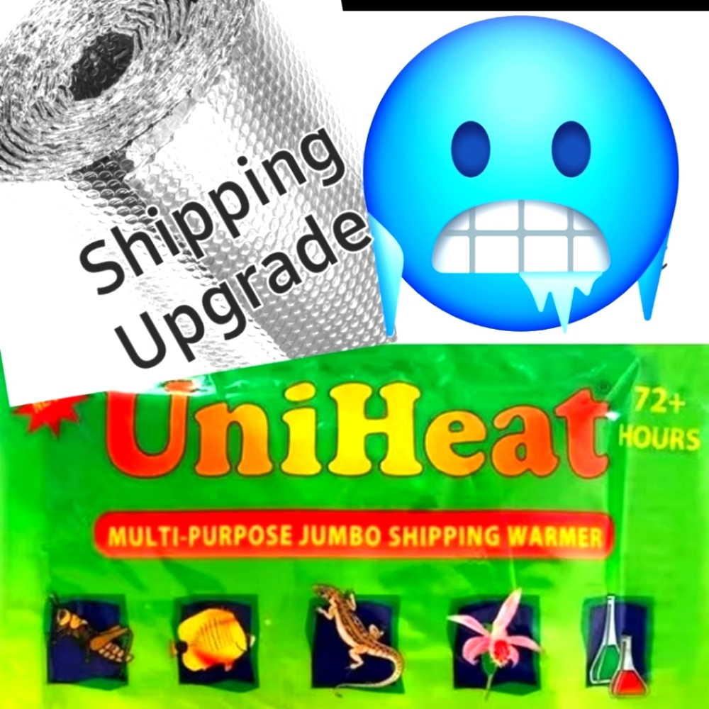 Insulation and Heat Pack